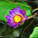 우애농장 이미지