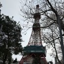 [🇯🇵홋카이도] 3월의 삿포로 비에이투어 + 준페이는 필수 (흰수염폭포, 탁신관, 나홀로나무, 닝구르테라스)