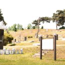 김지남 비갈 및 묘 이미지