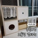뚱뚱묘/노묘를 위한 모듈형 캣타워 "큐빅스 펫" 구매후기