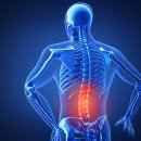 365바로한의원 이미지