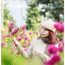 동백커피 이미지