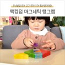 두뇌개발 학습법 (B) | [육아템 추천] 두뇌발달 장난감 맥킹덤 탱그램! 자석 퍼즐 공구중(4/21~24)