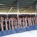 진흥태양광발전소 이미지