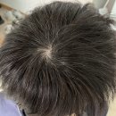 댕기머리 미용실 | 새치 염색약 추천 집에서 셀프로 흰머리 없애기