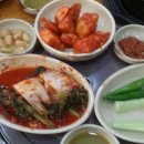 한솔치과 네이버블로그