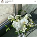 르무아드메