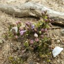 부평우체국 이미지