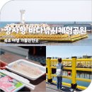 속초 낚시 체험 아이와 가볼만한곳 장사항 바다낚시 체험공원 올데이 속초패스 할인