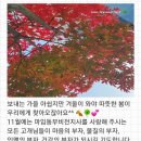 마임(동부지사) 이미지