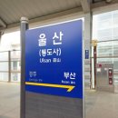 준프로 | 결국 해내면 그만이다 / 2026 K리그1 직관 후기 10R 대전하나시티즌 vs 울산HD FC