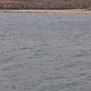 섬진강 트레킹코스 이미지