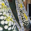 천국의계단상조 이미지
