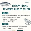 CS수산물유통 | 바다에서 온 기회! 2025년 수산물 전문 직매장 창업자 모집 완.벽.정.리