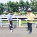 토월천 이미지