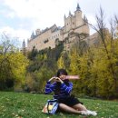 백설실업 이미지