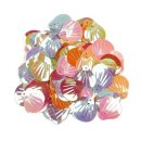 레인보우조개 이미지