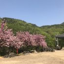 (주)대전사 이미지