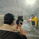 장안민물장어 이미지