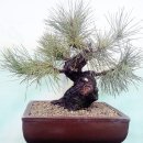 해송4로 이미지