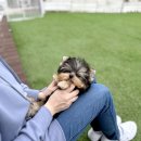 럭키켄넬 이미지