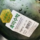[2025년 수박]홈플러스 흑미수박12.5브릭스, 맹동농협 다올찬 맹동수박...둘다 망한 후기..