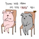 [경남 창원] 마산 석전동 레트로 감성 폭발하는 '함안집' 솔직 담백 내돈내산 후기