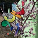 꽃잠 하우젠 이미지