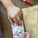 사파동342 이미지