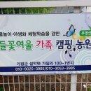 3일째) 가평 캠핑장 - 유명산 들꽃여울 캠핑장 방문