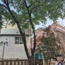 단양펜션소백스테이 | 단양숙소추천 단양펜션추천 단양분위기펜션 단양소백스테이 단양깨끗한펜션추천 소백스테이펜션 (솔직리뷰)