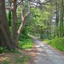 북분리경로당 이미지