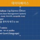 정**-19 이미지