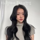 분당-182 이미지