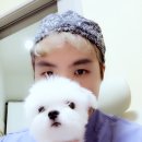 순수 동물병원 이미지