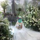 (주)금강온실 | [본식 후기] 안양웨딩홀, 밝고 화사한 분위기부터 식사, 완벽했던 진행까지 100% 만족한 후기!
