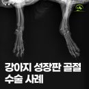 해오름 동물병원 이미지