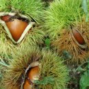 참소리풍물 이미지