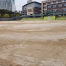 효덕초등학교 운동장 네이버블로그