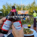 RR-623[순천향로]-하-10 | 아산 맥주축제 2024 렛츠펀 맥주페스티벌 디바인밸리 다녀왔어요