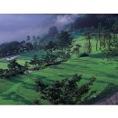 크리스탈밸리C.C 이미지