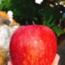 금계농장2 이미지