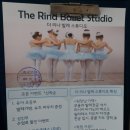 리나발레학원 이미지