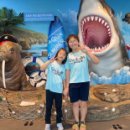 예담 효 태권도장 이미지