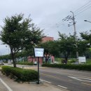 엘씨에르보