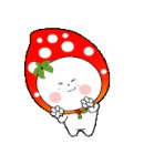 아시아제주주식회사 이미지