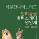 돕자몰 | [제품 리뷰] 반려동물의 건강지킴이 칸나비노이드오일 사용후기