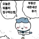 청량홈즈부동산중개 | 일본 워홀 집구하기 | 매물 100개 본 내가 알려주는 계약까지 전 과정