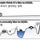 주식 장투의 길은 쉽지 않다. 이미지