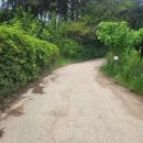 남정초등학교후문 이미지